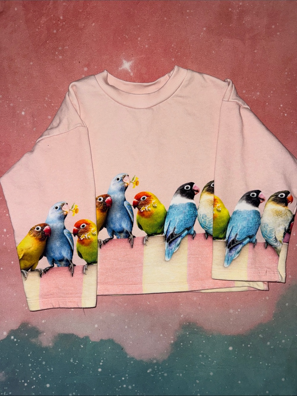 Molo girls Pink Sweatshirt with Colorful Parrot Row size 110 or 4 / 5